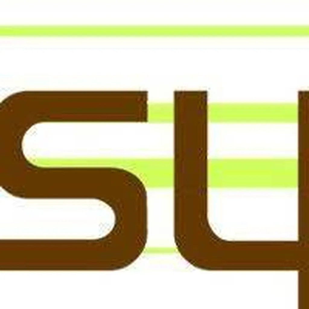 Maitre d’Oeuvre Pont d’Ain SYLIAU