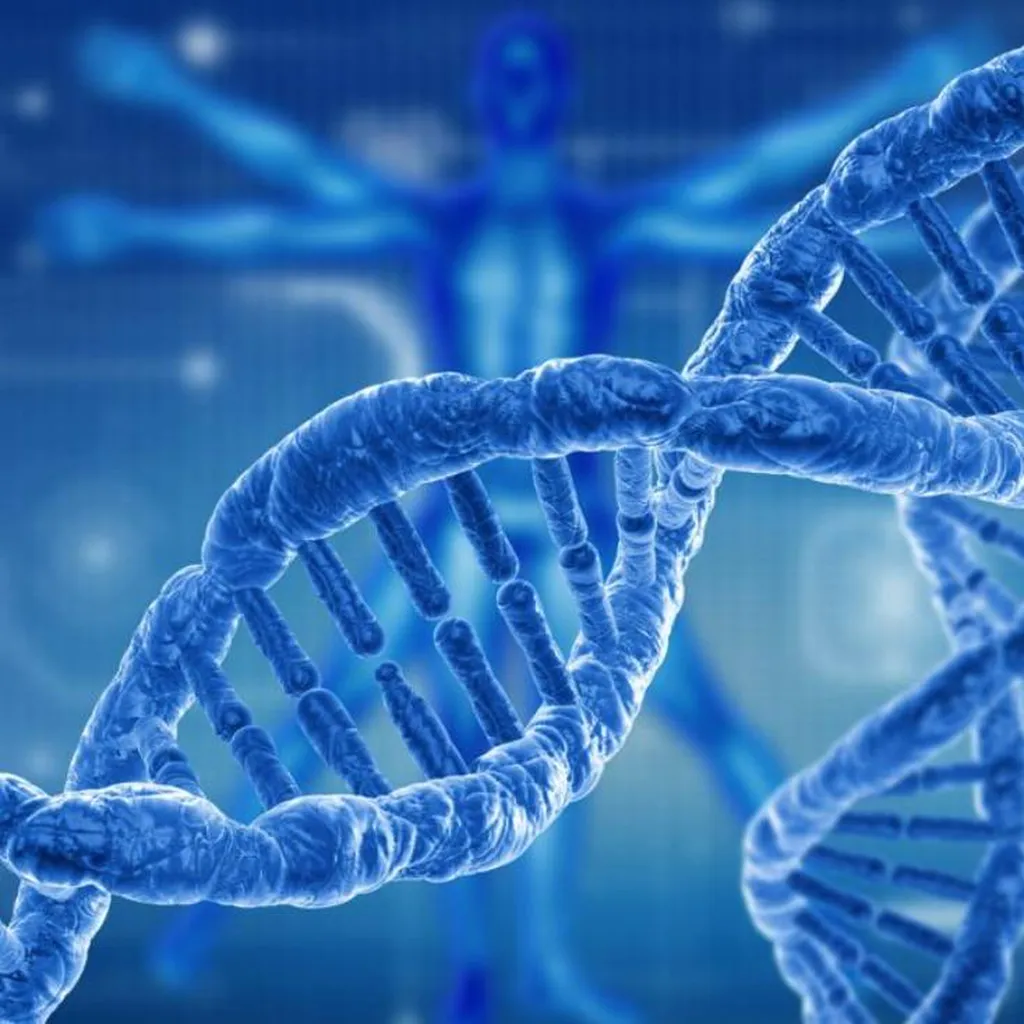 épigenetique profhilo polynucleotides structura 