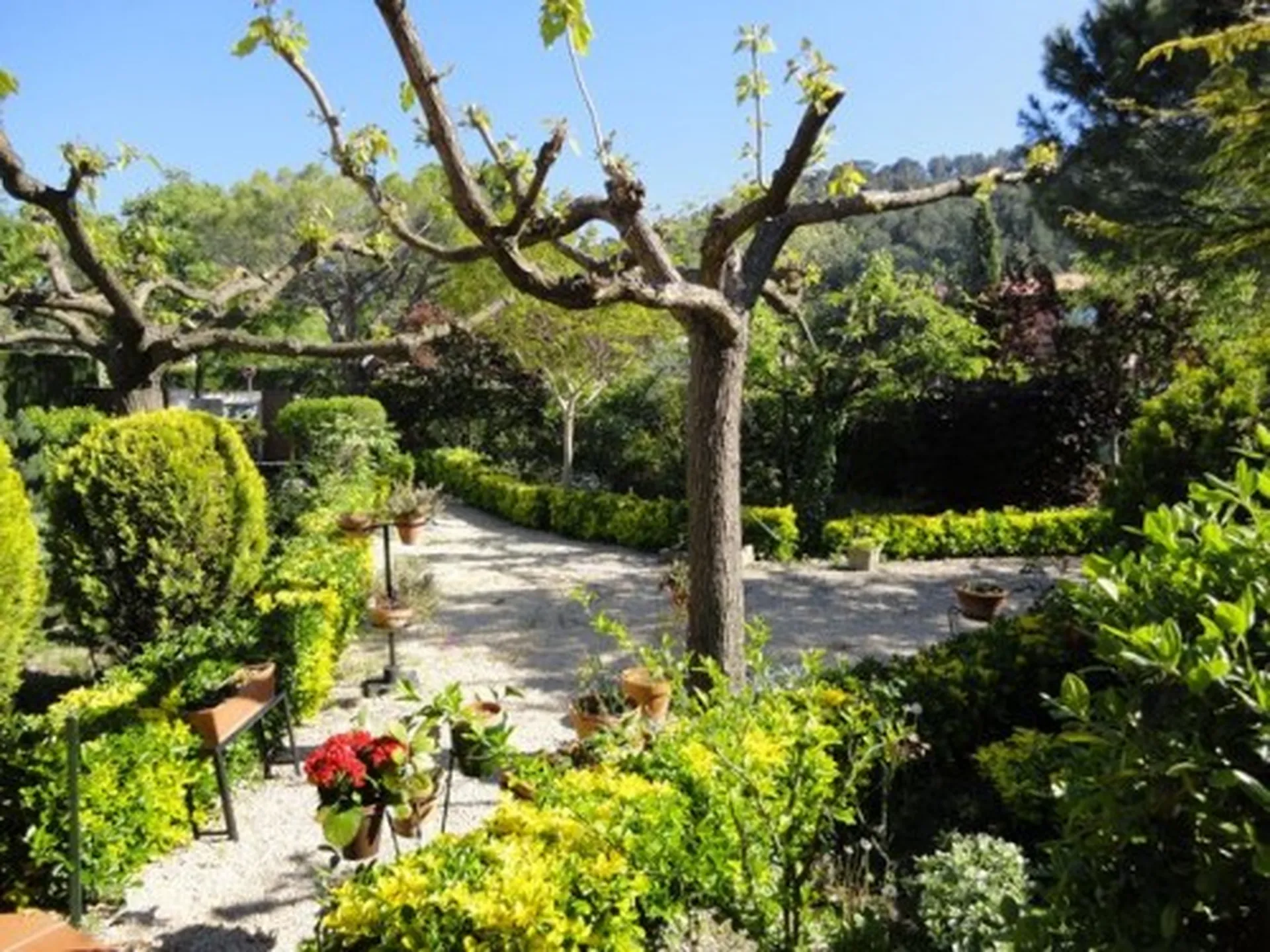 Trouver une agence immobilière sur Roquefort La Bédoule