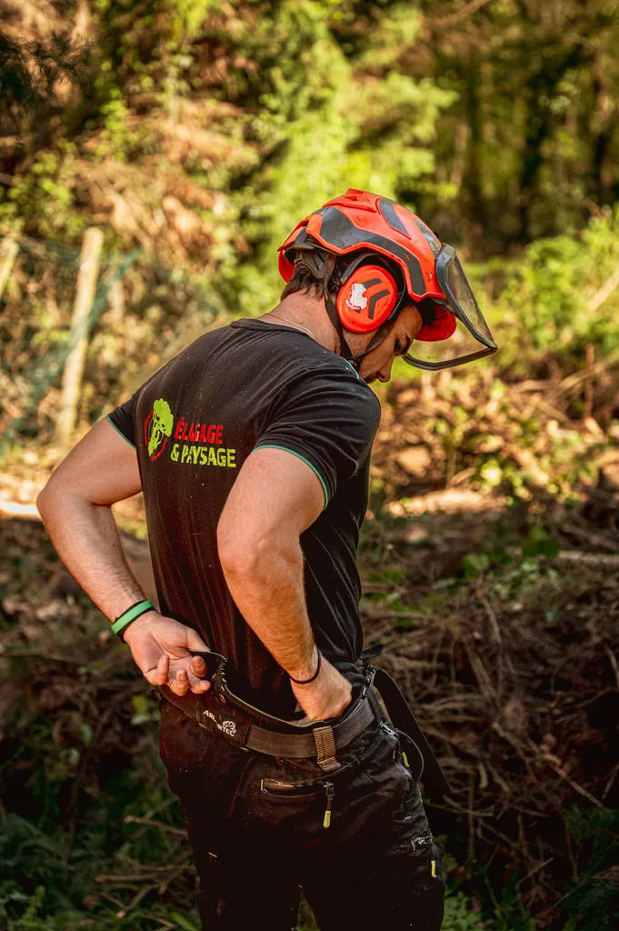 Alexis ANAT, arboriste grimpeur diplômé d'Etat