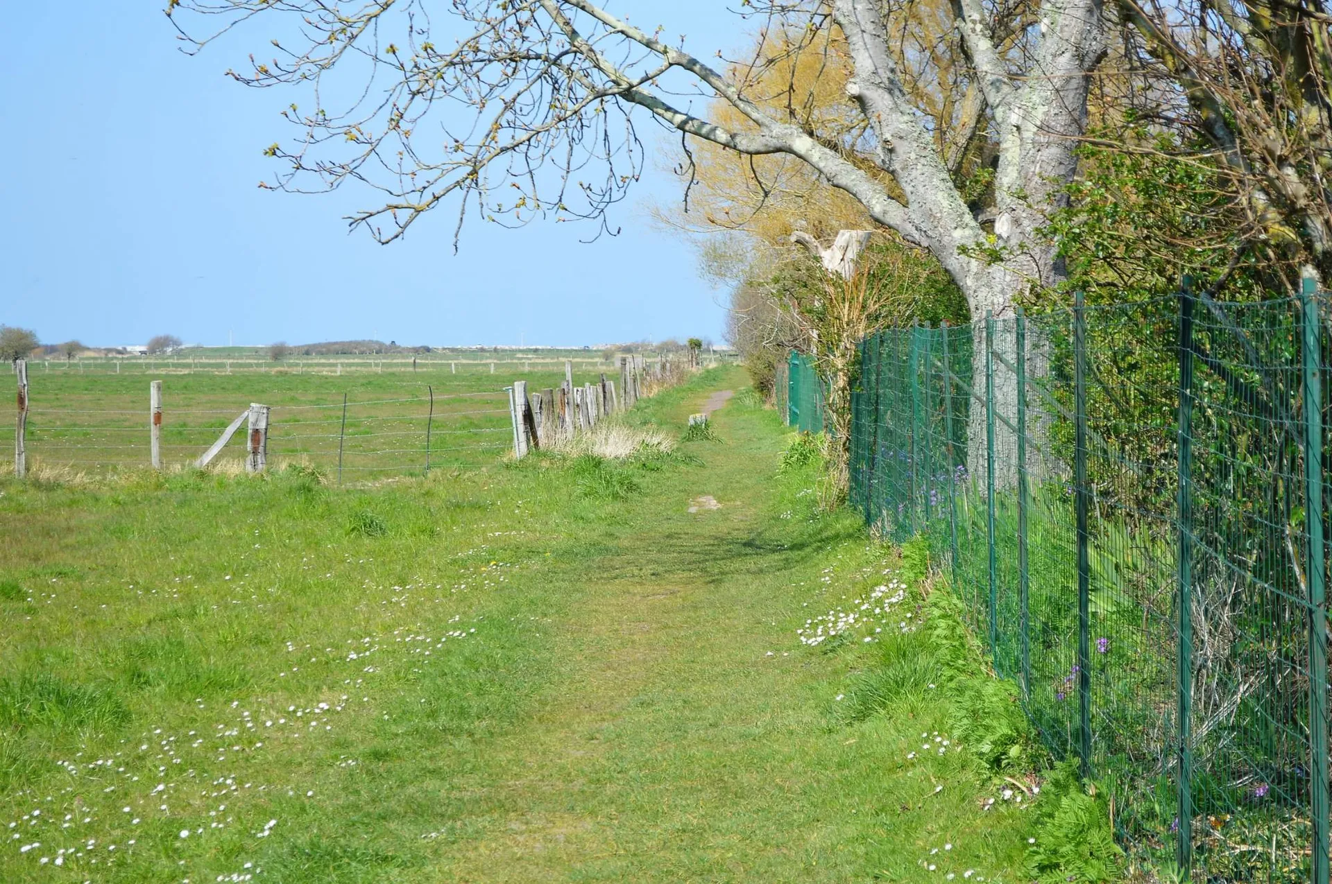 Criel sur mer Côte normande