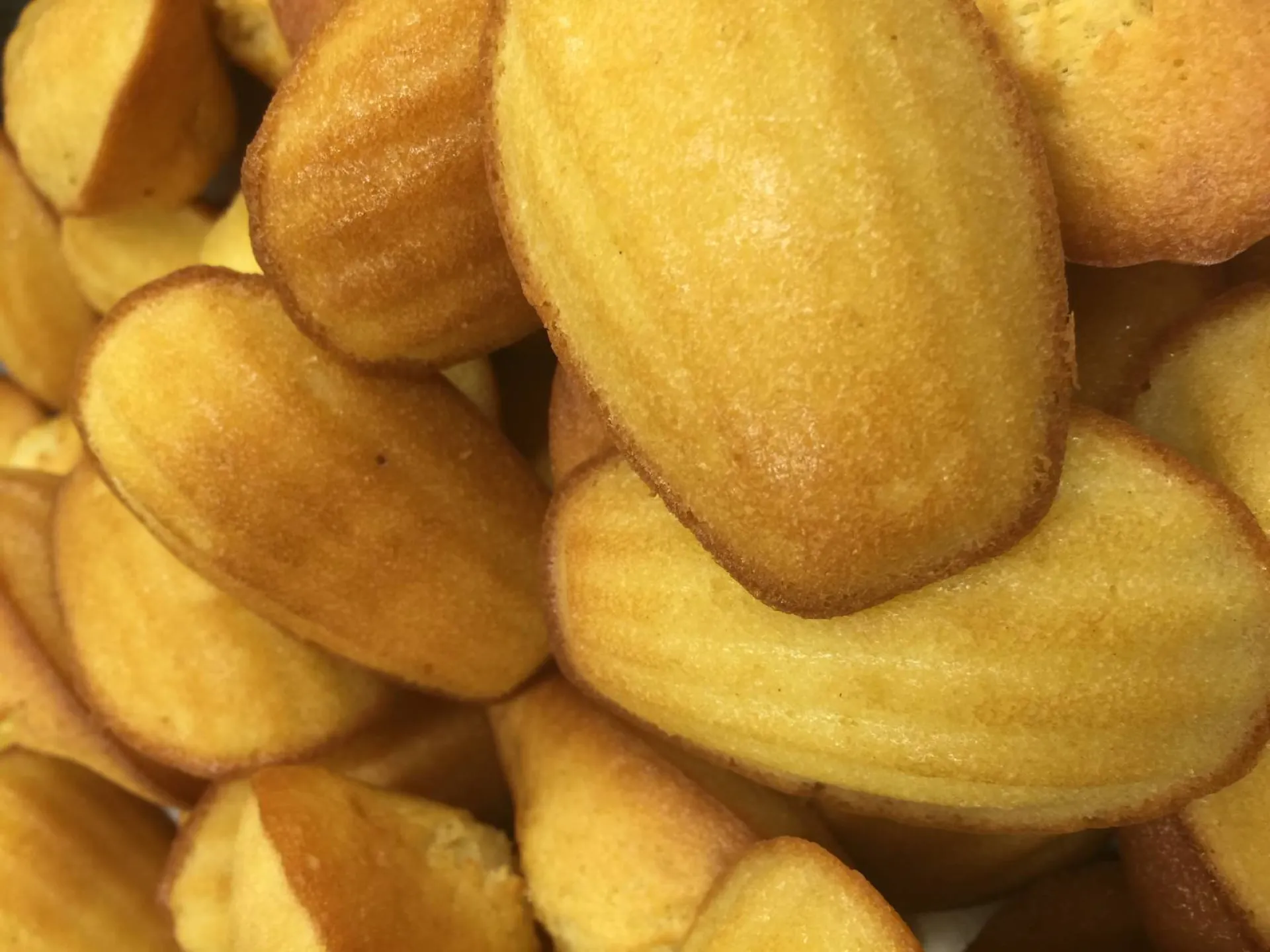madeleines,poully le monial