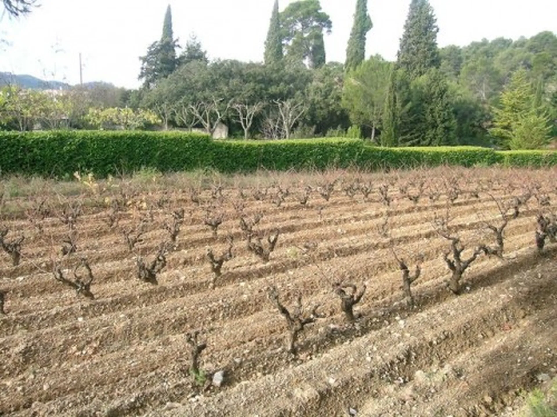 A vendre terrain sur roquefort la bedoule