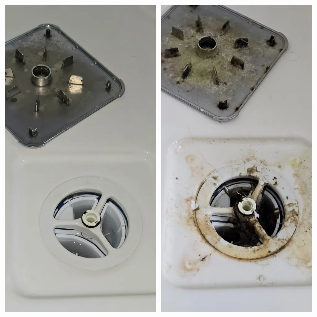 Découvrir Languedoc Propreté, entreprise de nettoyage à Lunel