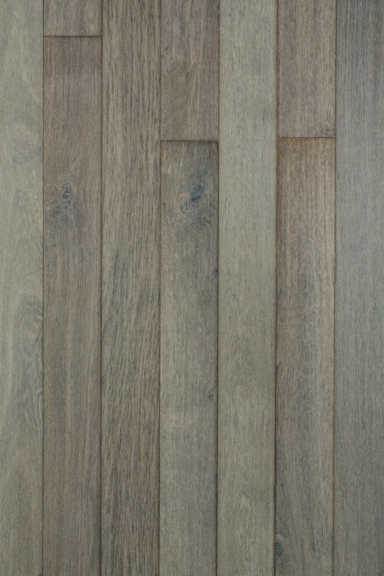 parquet colori gris