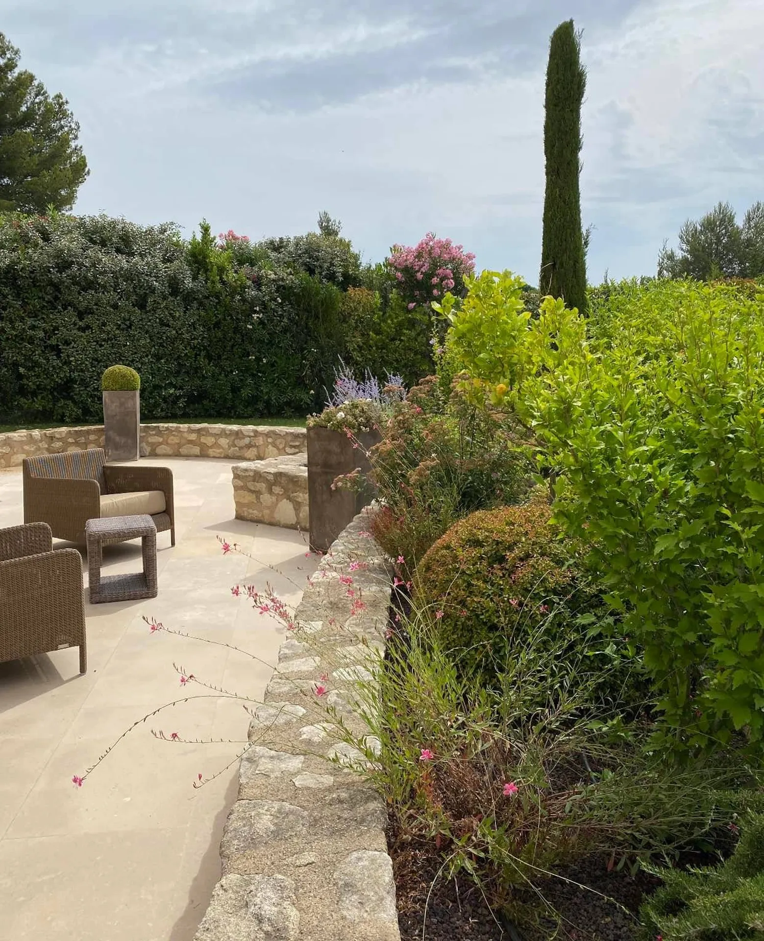 Un jardin méditerranéen unique à Salon-de-Provence, entre tradition et modernité