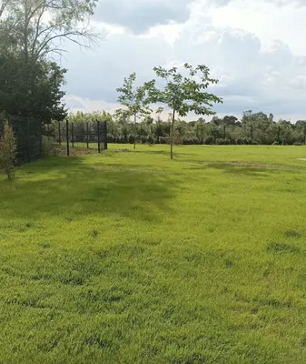 L'entreprise MAT'TAILLE basée à Muret près de Toulouse, créée vos gazons sur-mesure et sur toute la Haute-Garonne 