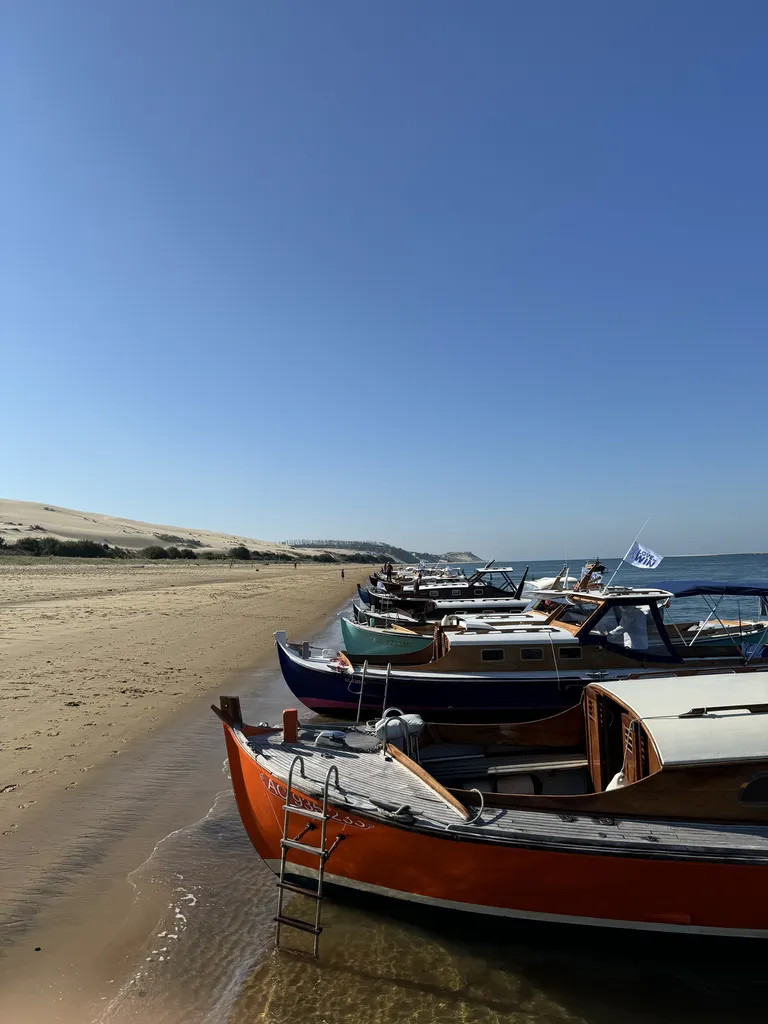 pinasse dune
