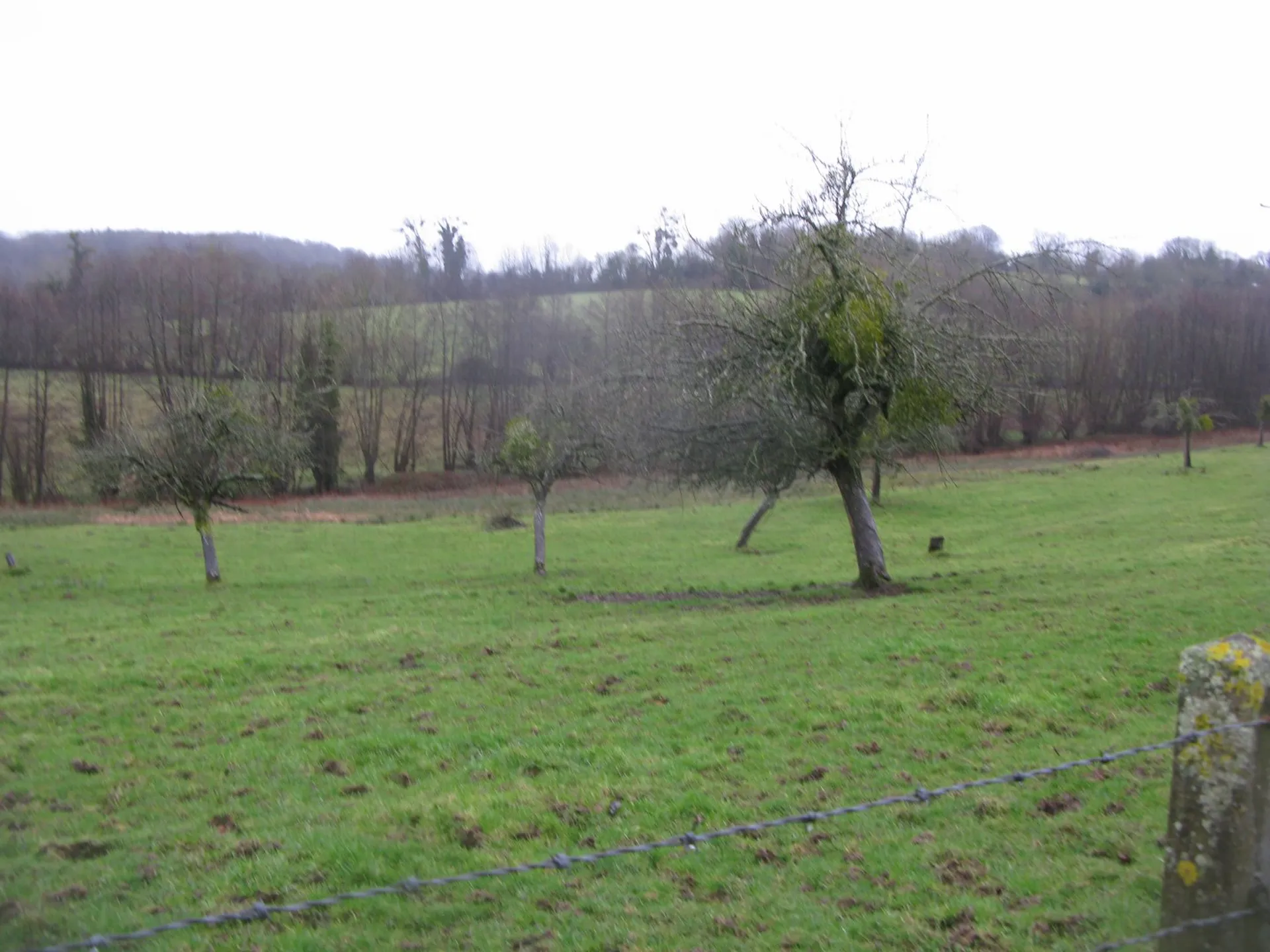 BATIMENTS AGRICLES A VENDRE DANS LE CALVADOS, NORMANDIE 14