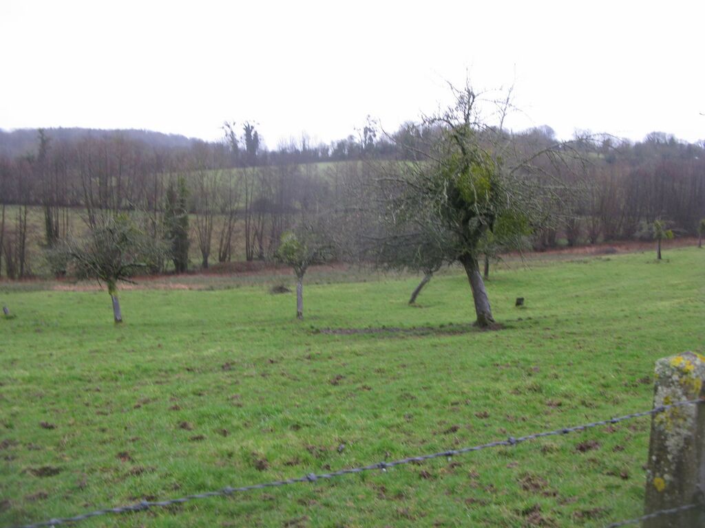 BATIMENTS AGRICLES A VENDRE DANS LE CALVADOS, NORMANDIE 14