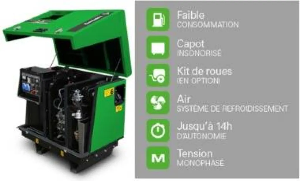 groupe électrogène maison