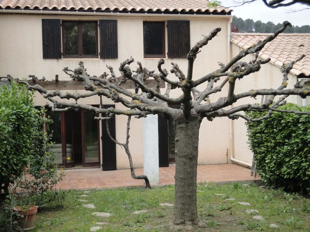 Carnoux vente maison