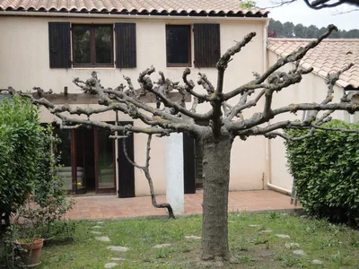 Carnoux vente maison