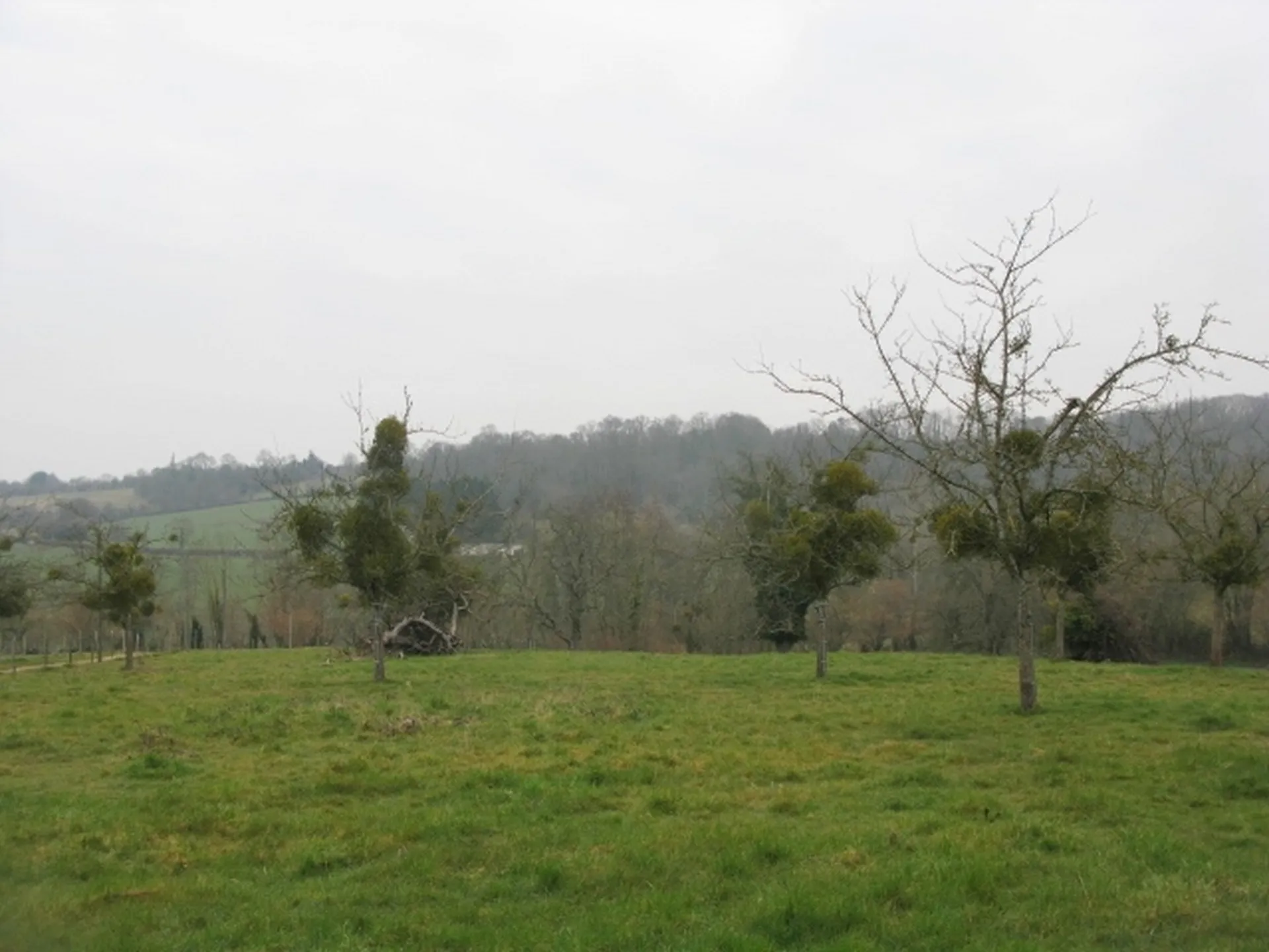 MAISON NORMANDE PROCHE LIVAROT PAYS-D'AUGE