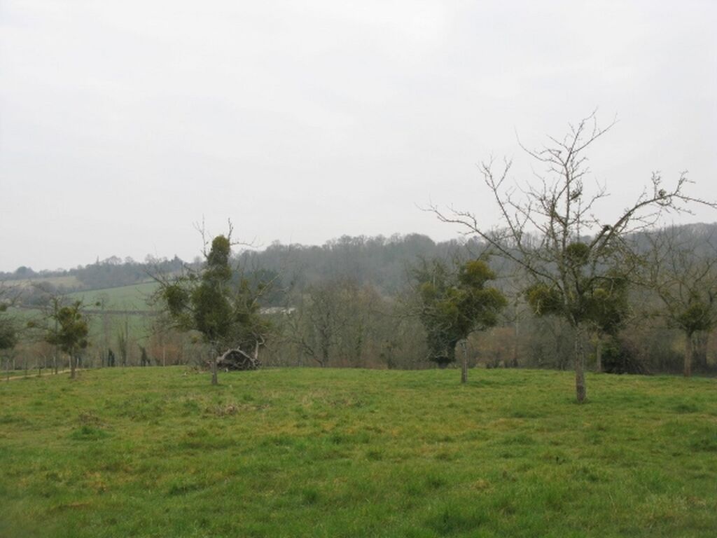 MAISON NORMANDE PROCHE LIVAROT PAYS-D'AUGE