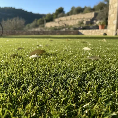 Création de jardin avec pelouse synthétique à Draguignan et vers La Valette-du-Var