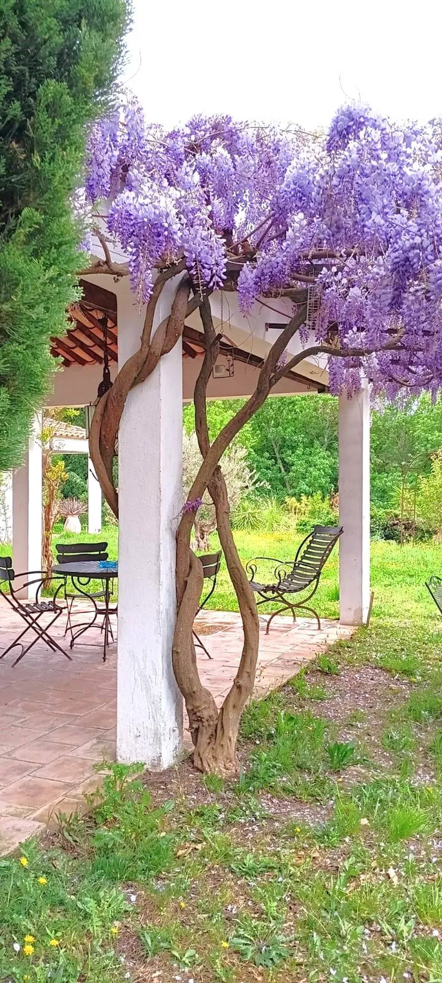 A vendre maison individuelle T4 de plain-pied Cassis  au calme, en campagne, avec piscine et vue mer