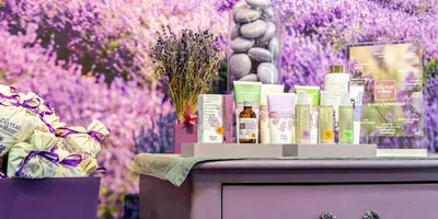 Huile essentielle de lavande fine et cosmétiques certifiés bio adaptés dans la boutique du Château du Bois Provence
