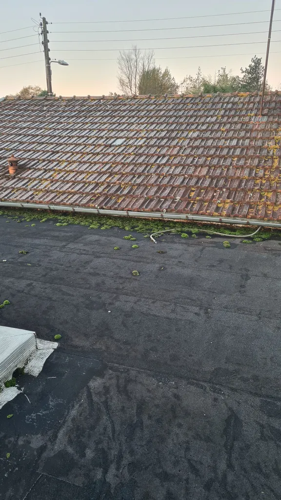 entretien toit plat spécialiste du nettoyage de toiture plate à bordeaux