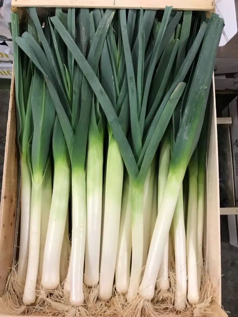 Poireaux origine France disponible à Ma Ferme Eguilles