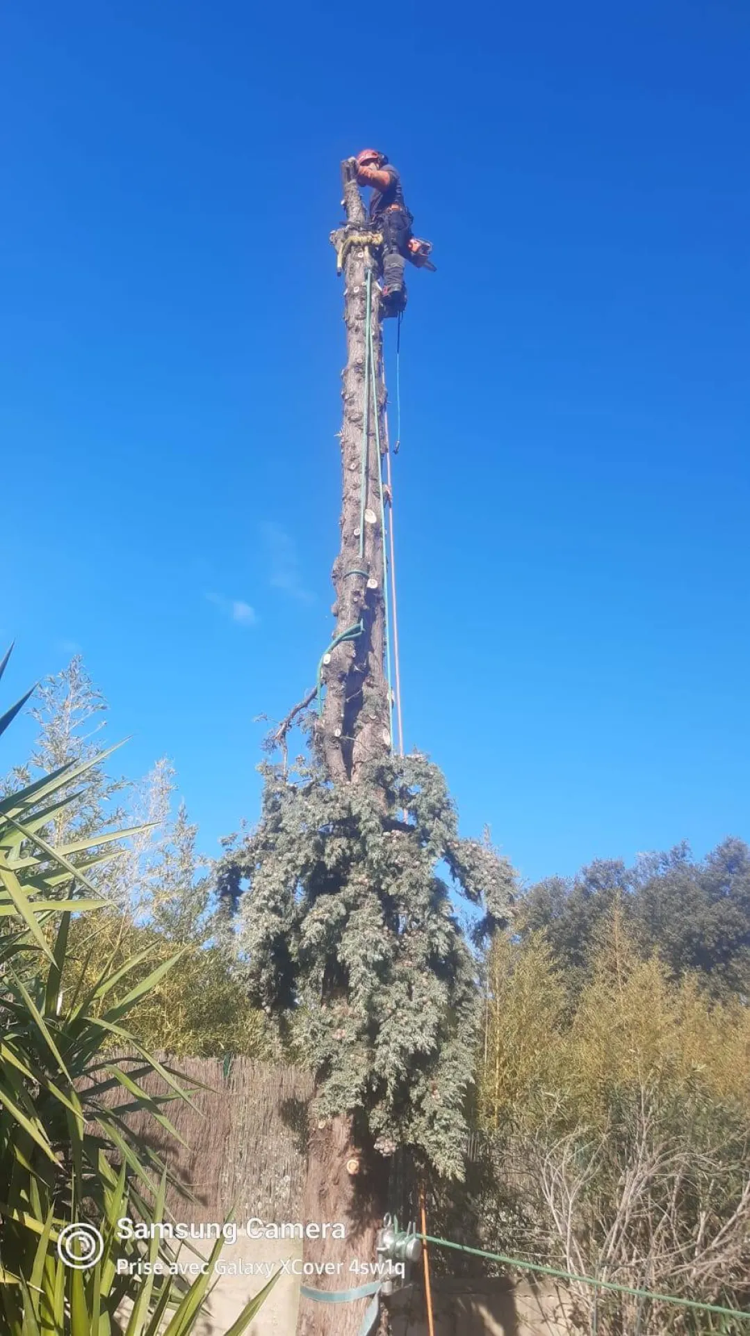 Paysagiste pour abattre des cypres Ventabren Paysagiste pour abattre des cypres Ventabren