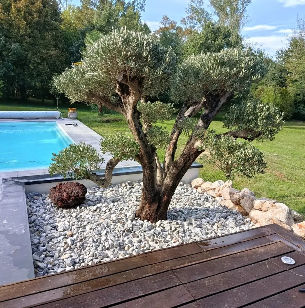 Jardinier paysagiste à Muret et Toulouse pour création et entretien de jardin sur mesure, aménagement extérieur et gazon naturel