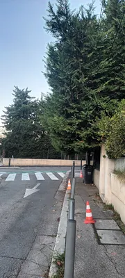 Taille haie de cyprès dans le 12ème à Marseille. 