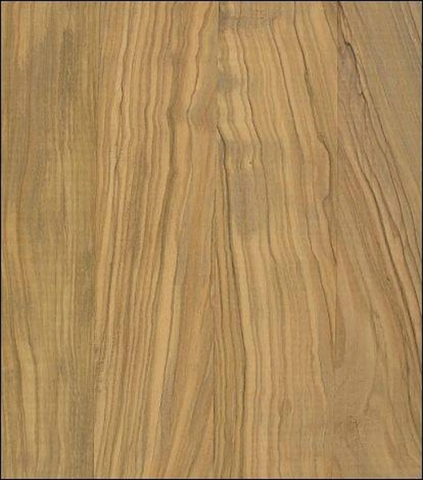 Parquet Feuillus Olivier