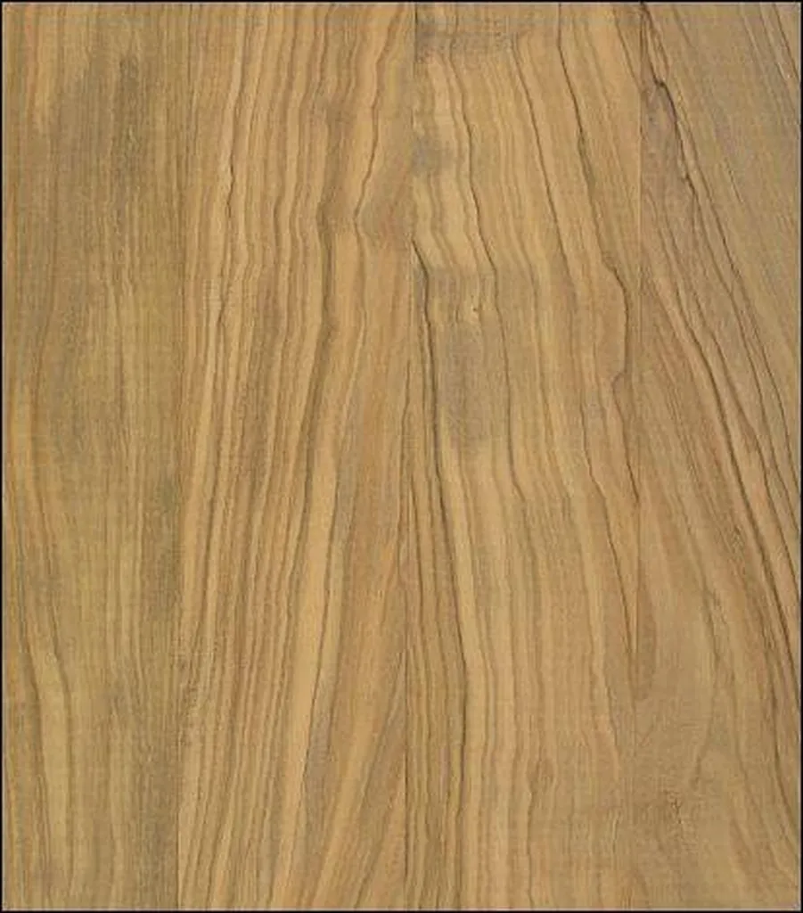 Parquet Feuillus Olivier