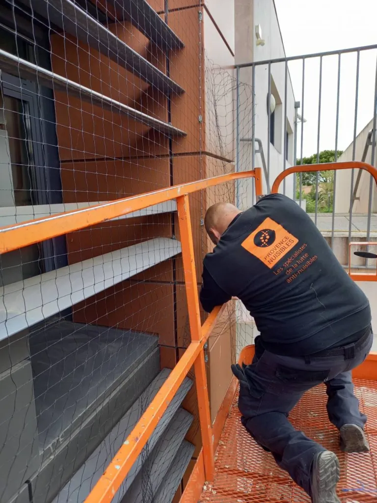 anti pigeon mariganen 13700