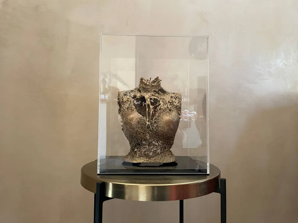 MURS EN MARMORINO TERRE DU MONDE TERRE DU MONDE DANS LE VAR A PIERREFEU DU VAR