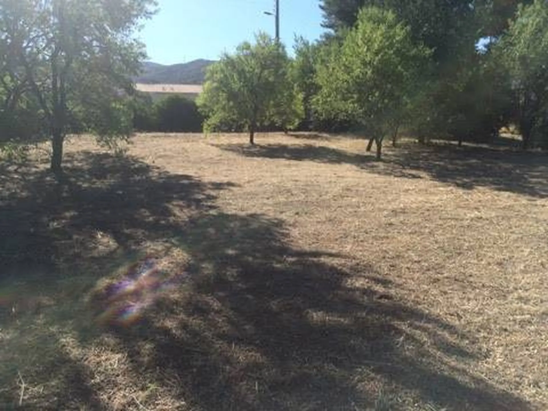 Débroussaillage paysager dans la région de Marseille