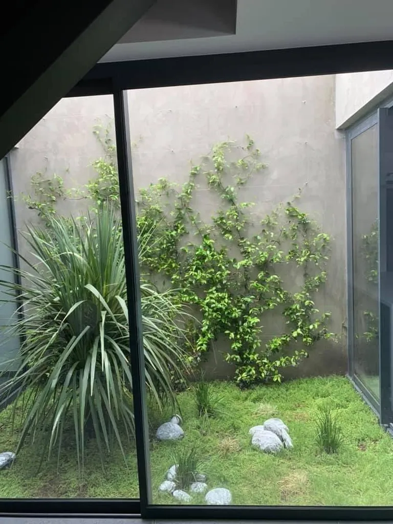 Comment choisir un paysagiste pour un patio végétalisé pas cher avec arrosage intégré à Biscarrosse 