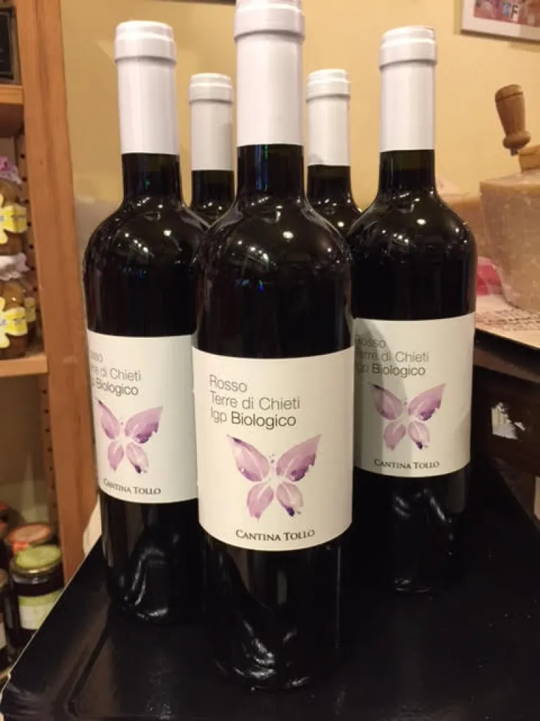 Vino Rosso terre di chieti IGP BIOLOGICO