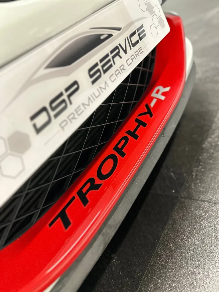 Lustrage sur une Renault Megane RS Trophy-R à Le Mans