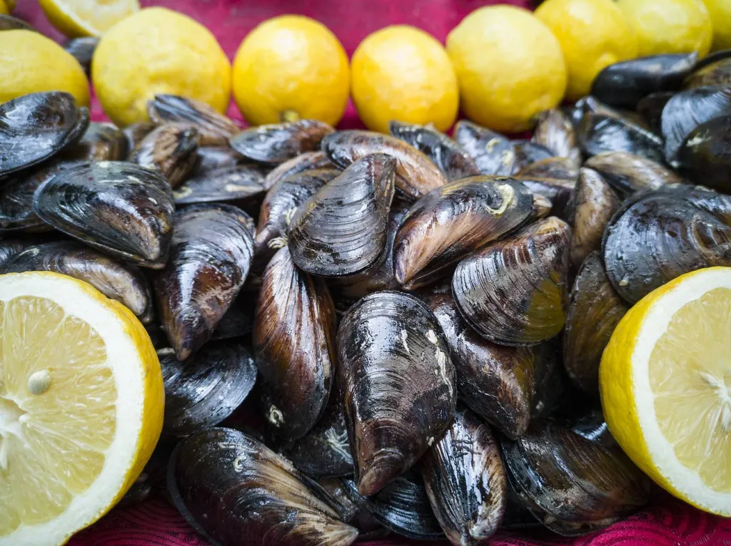 Livraisons expresse de produits de la mer de Calais à Orléans