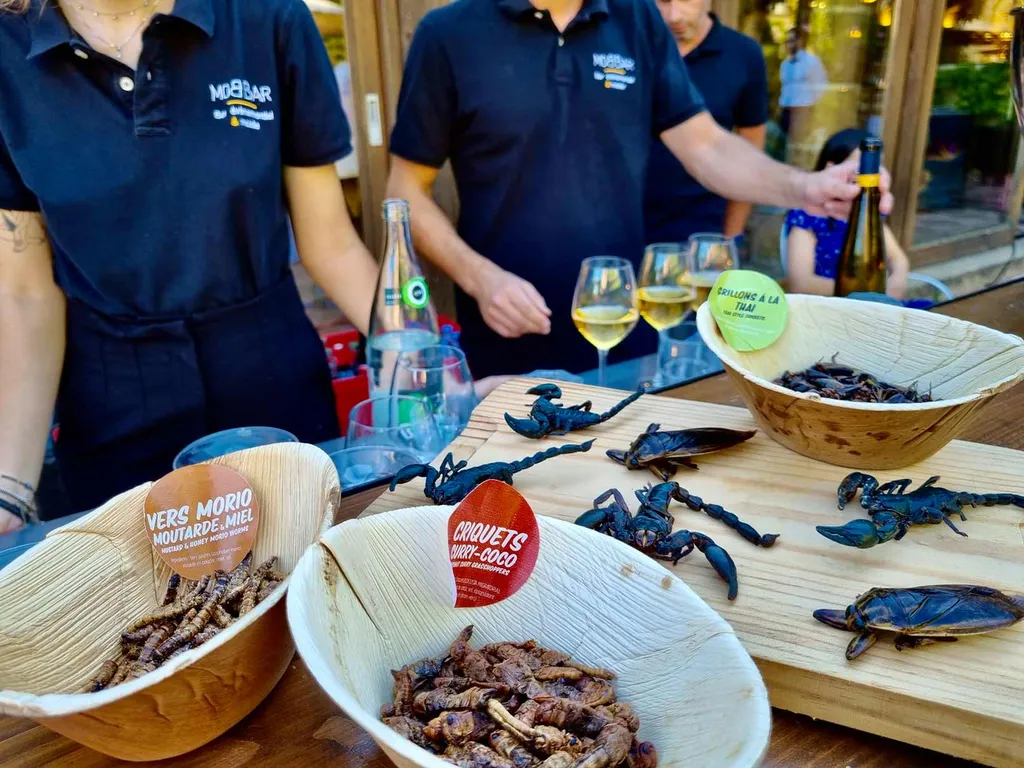 Dégustation d'insectes à Lyon, animation traiteur originale pour événement