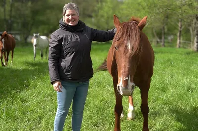 Valérie Guillet accompagne l’accueil des chevaux réformés ou maltraités à Fontainebleau, grâce à la constellation animale intuitive.