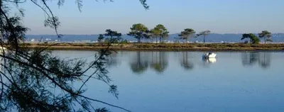 Bat'express, bateau taxi Arcachon/Cap Ferret sur le blog officiel lecapferret.net