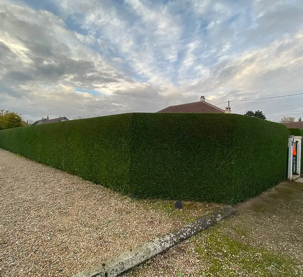Taille de haies à Louviers (27400) : entretenez votre jardin avec un professionnel