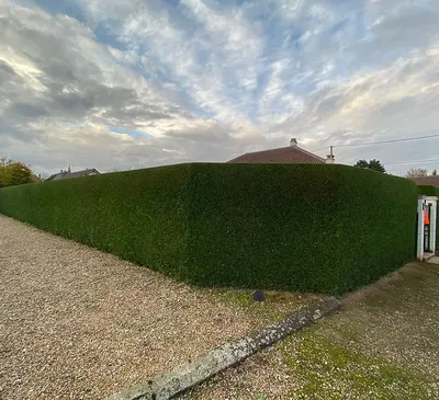 Taille de haies à Louviers (27400) : entretenez votre jardin avec un professionnel