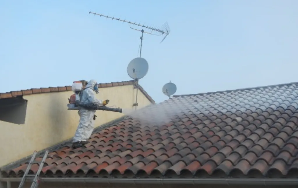 lutte anti guepes aix marseille