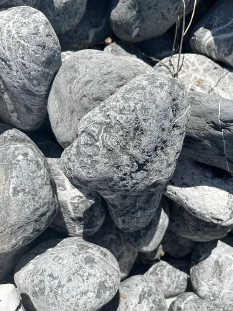  GROS GALETS XL BLACK AND WHITE