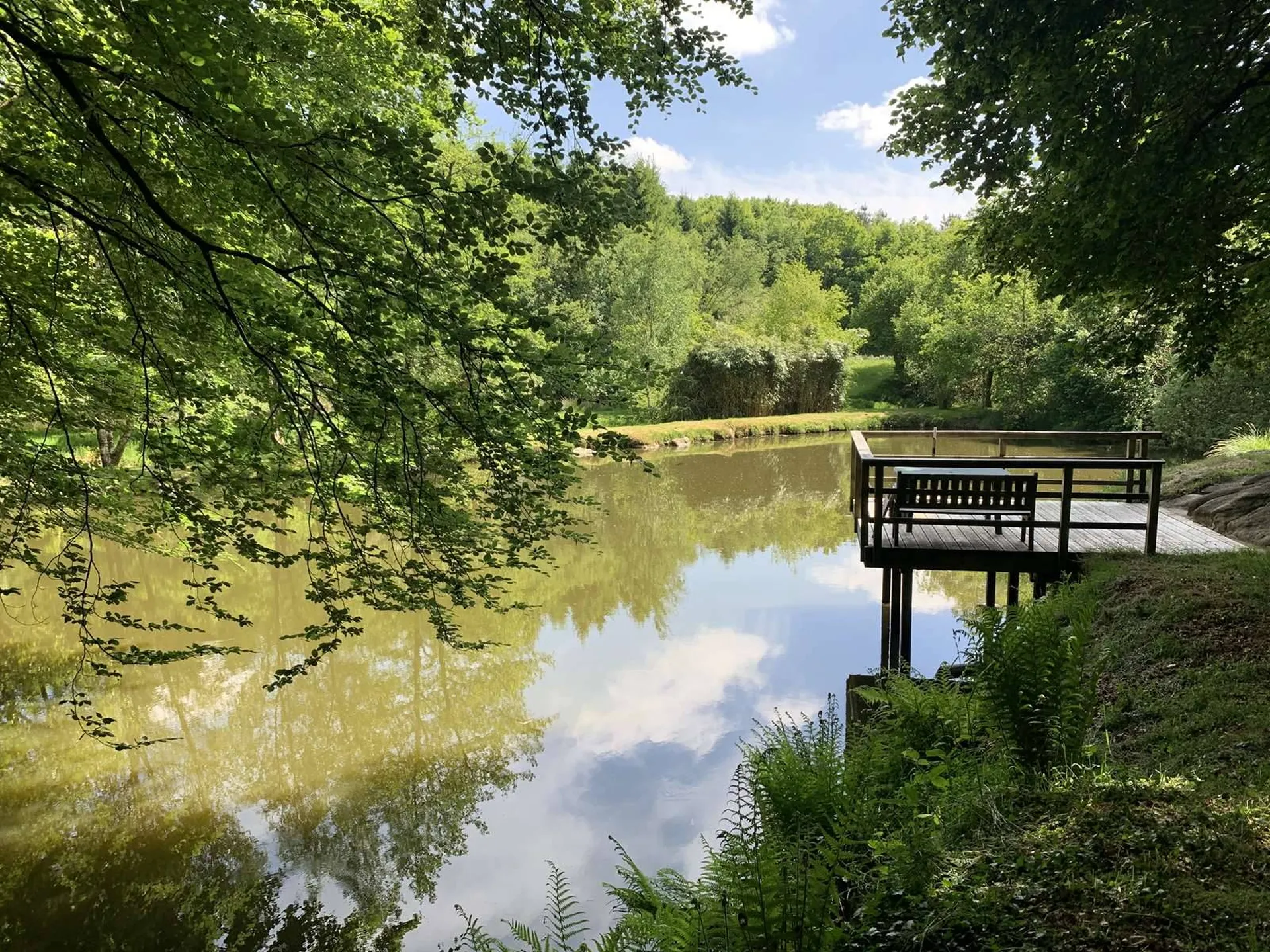 CALVADOS Région de VIRE (14500) propriété forestière de 18 ha 50 a avec des étangs