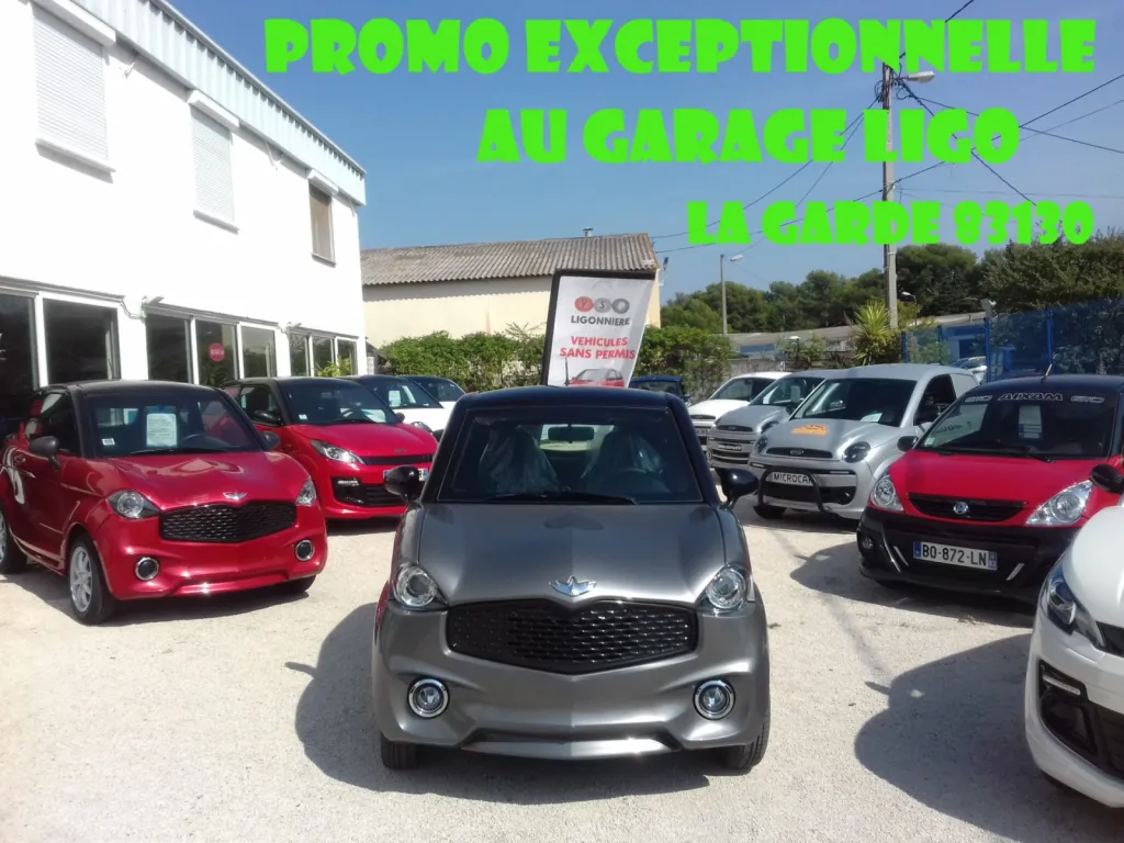 Super Promo Exceptionnelle sur Ligier sans permis 