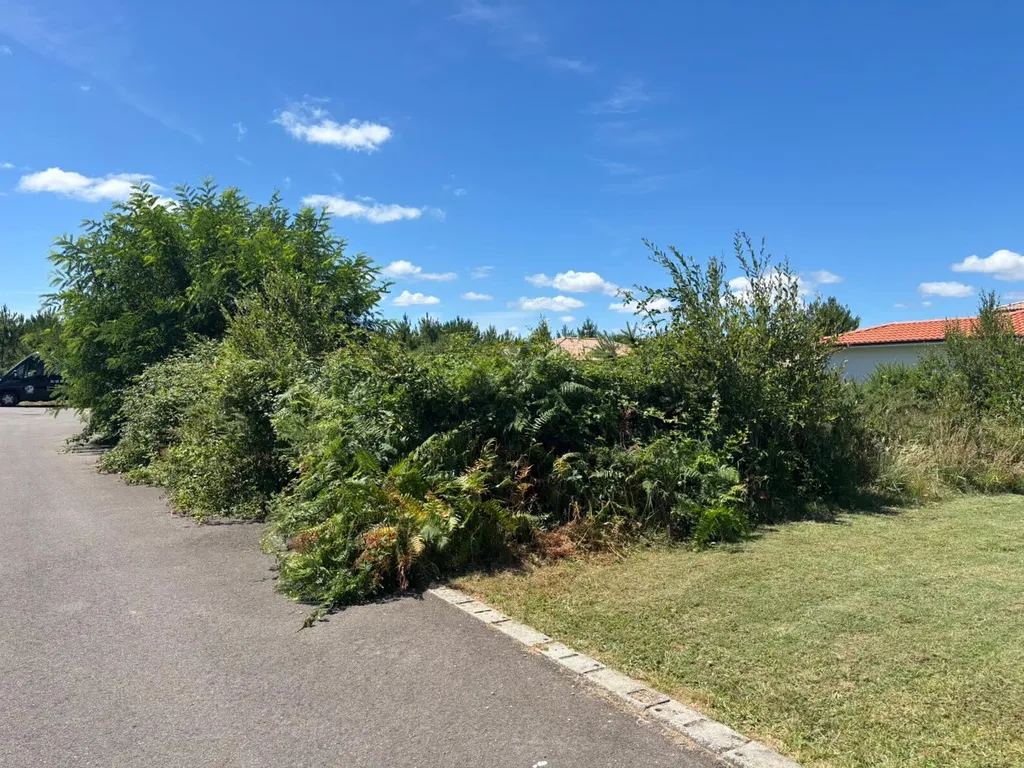Remise en état de terrain avant construction d’une maison à Mimizan par votre paysagiste situé à Parentis-En-Born et Biscarrosse 