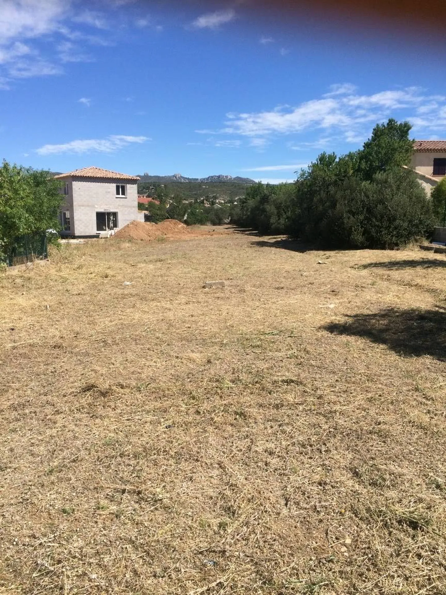 Débroussaillage paysager dans la région de Marseille