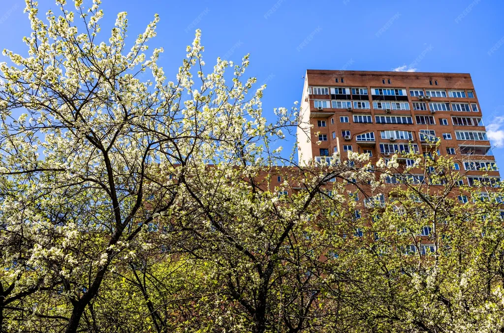 Prévenir l’apparition des puces au printemps et en été dans votre logement à Toulouse