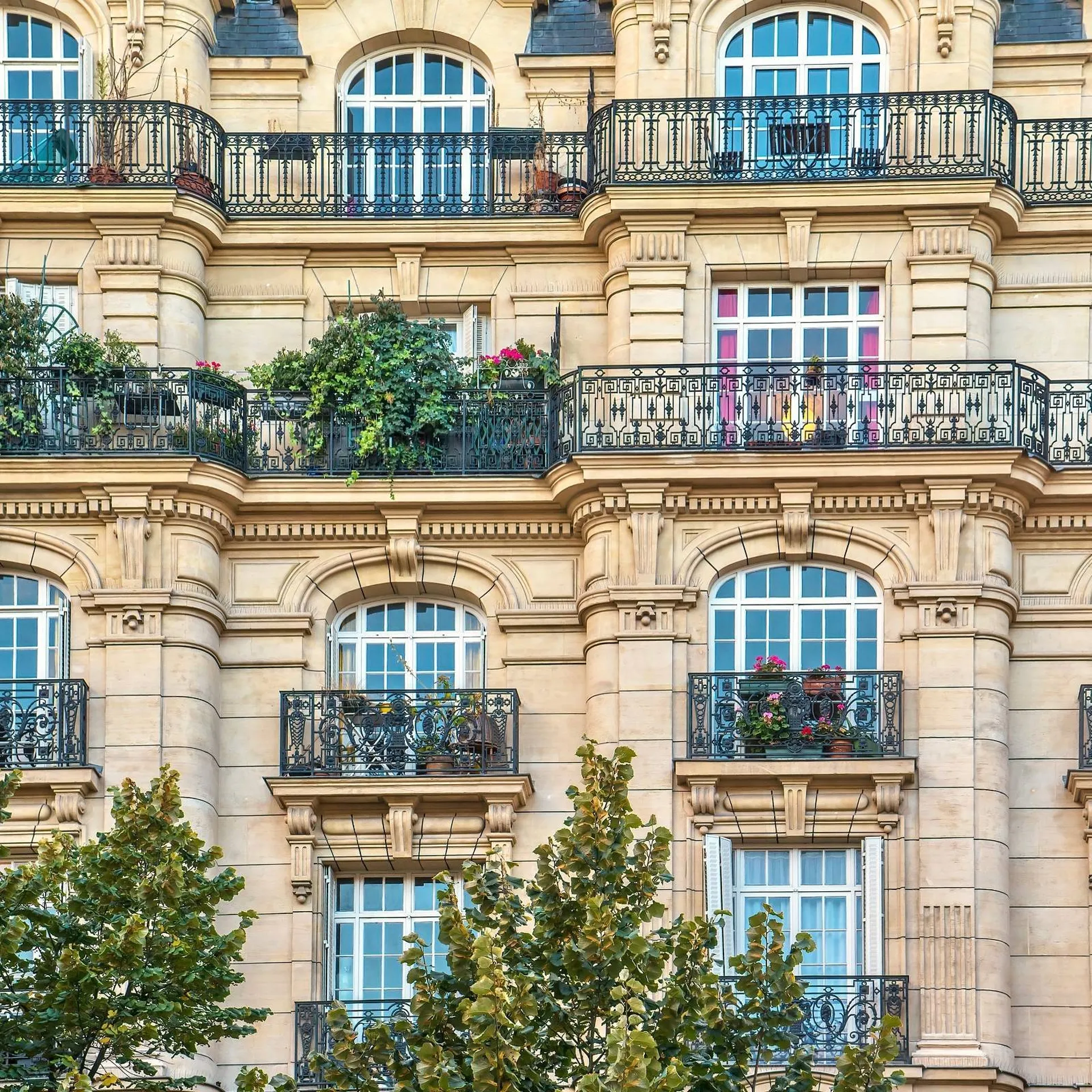 Location de bien de type appartements et maisons à Toulouse