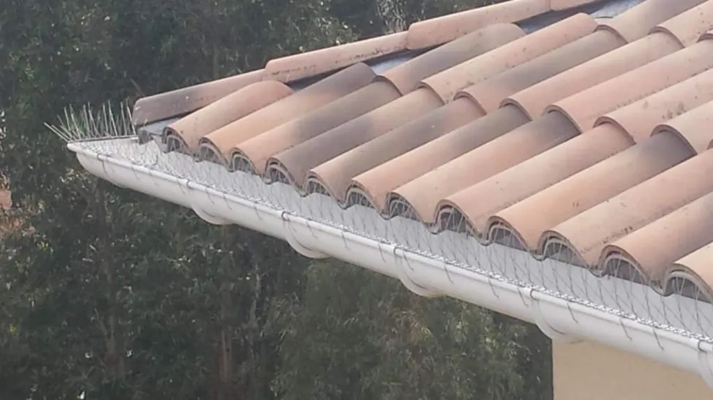 système anti pigeons gouttière 13100